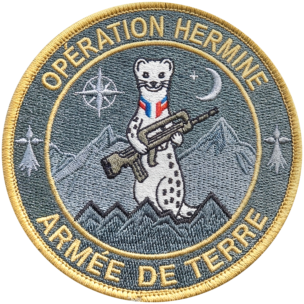Opération Hermine - Serveur Arma Reforger